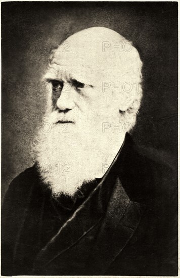 Charles Darwin (1809-1882), English Naturalist, Close-Up Portrait, circa 1870