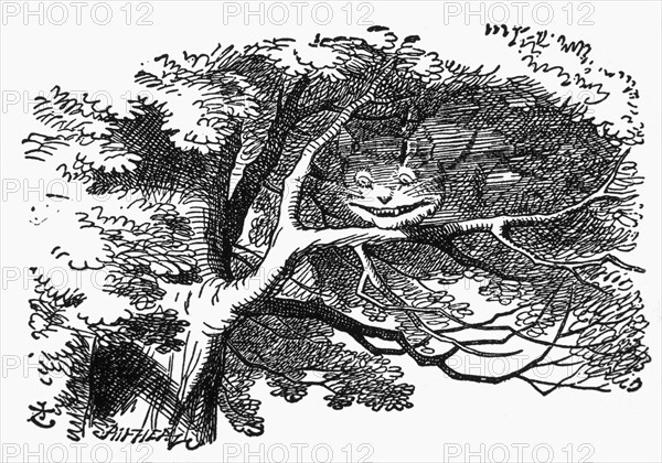 Cheshire Cat, Alice's Adventure in Wonderland by Lewis Carroll, Illustration, Circa 1865