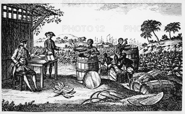 Tobacco Being Exported from Jamestown, Virginia, Engraving, 1620