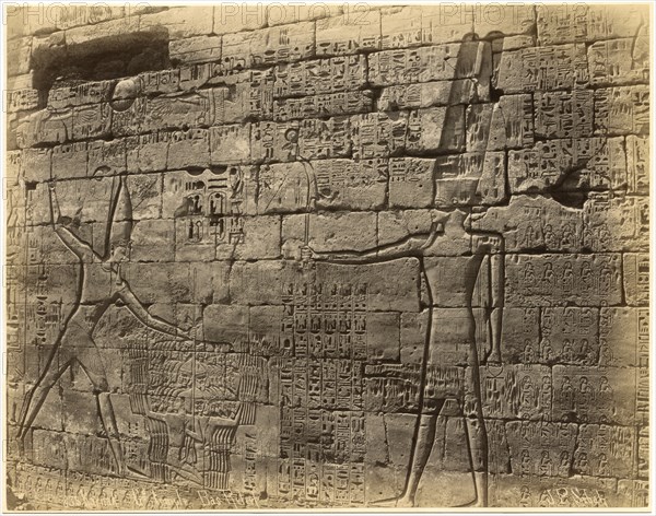 Bas-relief, Grand Temple, Karnak, Egypt, Albumen Print, circa 1880