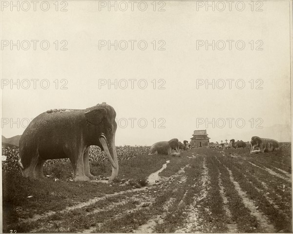 Sacred Way and Ming Tombs, Beijing, China, Albumen Print, circa 1890