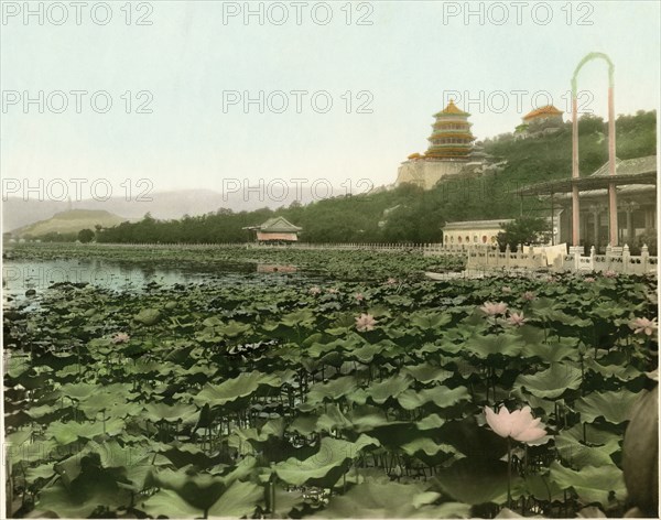 Lily Pond, Summer Palace, Beijing, China, circa 1930