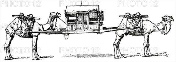 Palanquin and Camels, Algeria, Africa, "Classical Portfolio of Primitive Carriers", by Marshall M. Kirman, World Railway Publ. Co., Illustration, 1895