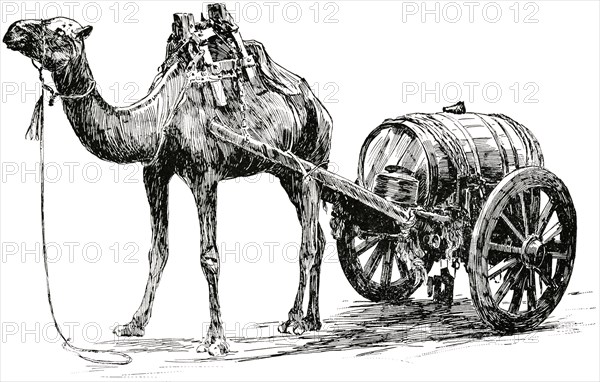 Camel with Water Cart, Aden, Arabia, "Classical Portfolio of Primitive Carriers", by Marshall M. Kirman, World Railway Publ. Co., Illustration, 1895