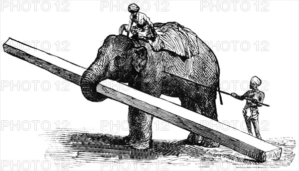 Elephant Carrying Timber, Rangoon, Burma, "Classical Portfolio of Primitive Carriers", by Marshall M. Kirman, World Railway Publ. Co., Illustration, 1895