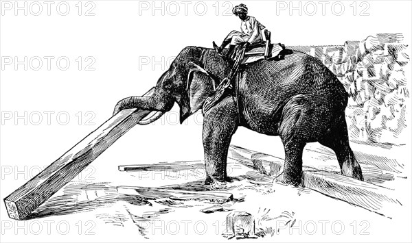 Elephant Raising Timber, Rangoon, Burma, "Classical Portfolio of Primitive Carriers", by Marshall M. Kirman, World Railway Publ. Co., Illustration, 1895