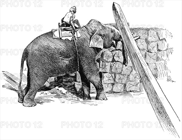 Elephant Raising Timber, Rangoon, Burma, "Classical Portfolio of Primitive Carriers", by Marshall M. Kirman, World Railway Publ. Co., Illustration, 1895