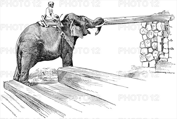 Elephant Completing Work of Piling Timber, Rangoon, Burma, "Classical Portfolio of Primitive Carriers", by Marshall M. Kirman, World Railway Publ. Co., Illustration, 1895