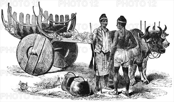 Burmese Traveling Cart in Farther India, "Classical Portfolio of Primitive Carriers", by Marshall M. Kirman, World Railway Publ. Co., Illustration, 1895