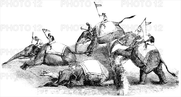 Comical Elephant Steeple Chase, Rangoon, Burma, "Classical Portfolio of Primitive Carriers", by Marshall M. Kirman, World Railway Publ. Co., Illustration, 1895