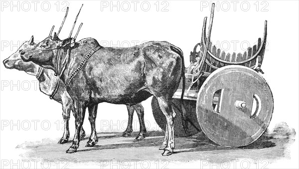 Carriage of Buddhist Dignitary of Pong, Burma, "Classical Portfolio of Primitive Carriers", by Marshall M. Kirman, World Railway Publ. Co., Illustration, 1895