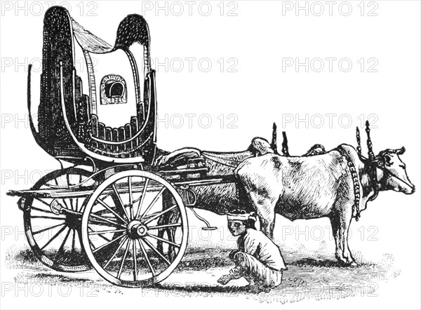 Gentleman's Spring Cart, Burma, "Classical Portfolio of Primitive Carriers", by Marshall M. Kirman, World Railway Publ. Co., Illustration, 1895