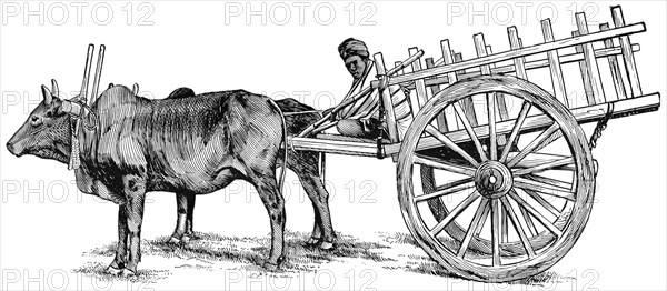 Burmese Ox-Cart, "Classical Portfolio of Primitive Carriers", by Marshall M. Kirman, World Railway Publ. Co., Illustration, 1895