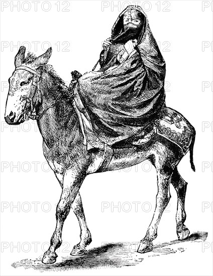 Arab Lady on Donkey, Cairo, Egypt, "Classical Portfolio of Primitive Carriers", by Marshall M. Kirman, World Railway Publ. Co., Illustration, 1895