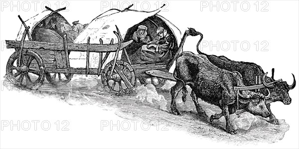 Bulgarian Peasants in Ox-Driven Wagon, "Classical Portfolio of Primitive Carriers", by Marshall M. Kirman, World Railway Publ. Co., Illustration, 1895