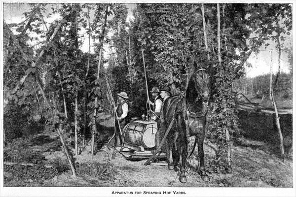 Apparatus for Spraying Hop Yards, Report of the Commissioner of Agriculture, US Dept of Agriculture, Illustration,  1888