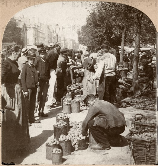 Market Place, Versailles, France, by B.L. Lingley, Keystone View Company, Single Image of Stereo Card, 1897