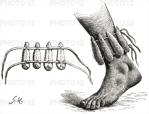 Dancing Rattles on Ankle, Africa, Illustration, 1885