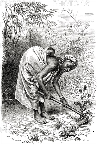 Loango Woman with Baby on Back Working in Field, Africa, Illustration, 1885
