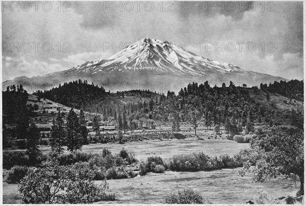 Mount Shasta from Edgewood, California, USA, Photogravure, Denison News Co., 1903
