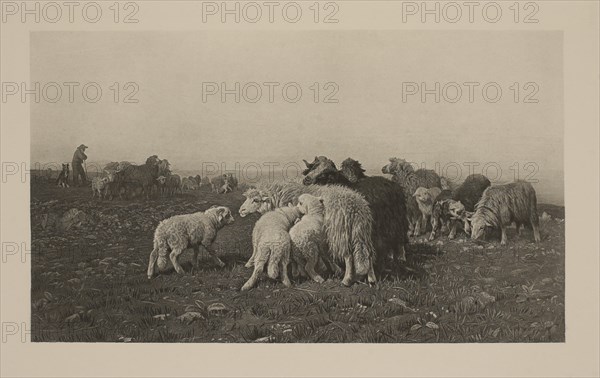 In the Stubble Fields, Photogravure Print from the Original Painting by August Friedrich Albrecht Schenck, The Masterpieces of French Art by Louis Viardot, Published by Gravure Goupil et Cie, Paris, 1882, Gebbie & Co., Philadelphia, 1883