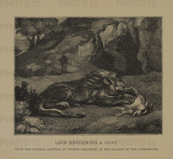 Lion Devouring a Goat, Woodcut Engraving from the Original Painting by Eugène Delacroix The Masterpieces of French Art by Louis Viardot, Published by Gravure Goupil et Cie, Paris, 1882, Gebbie & Co., Philadelphia, 1883