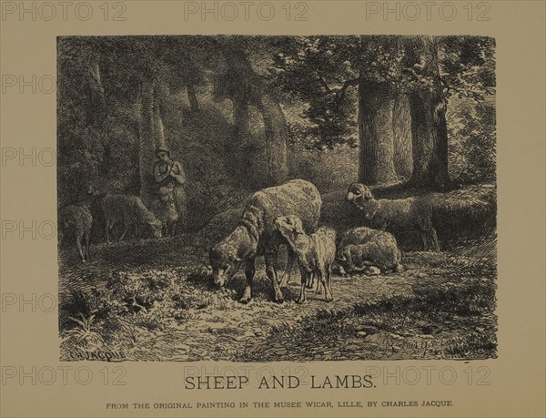 Sheep and Lambs, Woodcut Engraving from the Original Painting by Charles Jacque, The Masterpieces of French Art by Louis Viardot, Published by Gravure Goupil et Cie, Paris, 1882, Gebbie & Co., Philadelphia, 1883