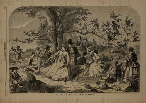 Picnicking in the Woods, Harper's Weekly, September 4, 1858