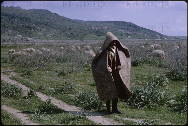 Sheepherder, Pergamum, Turkey, 1965