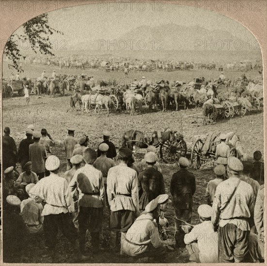 Army Transports in Camp on the Plains of Manchuria, Single Image of Stereo Card, B.W. Kilburn, 1905