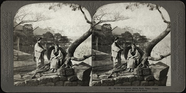 By the lotus pond, Shiba Park, Tokio, Japan, Stereo Card, C.H. Graves, Universal Photo Art, 1902