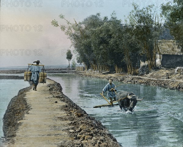 Dirt Road between Rice Fields, China, Hand-Colored Magic Lantern Slide, Newton & Company, 1930