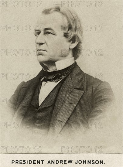 Andrew Johnson (1808-75), 17th President of the United States, Portrait, late 1860's