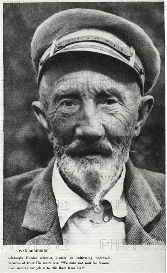 Ivan Vladimirovich Michurin (1855-1935), Russian Horticulturist, created more than 300 Varieties of Fruit Plants, Portrait