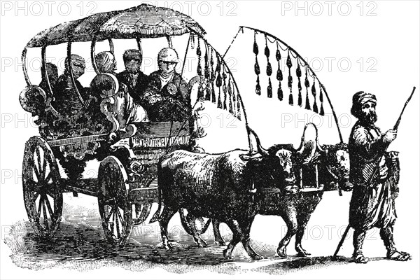 A Family “Araba” or Carriage, Syria, 1890's, Illustration, Classical Portfolio of Primitive Carriers, by Marshall M. Kirman, World Railway Publ. Co., Illustration, 1895