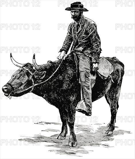 Farmer, “Cracker”, Florida, USA,  Illustration, Classical Portfolio of Primitive Carriers, by Marshall M. Kirman, World Railway Publ. Co., Illustration, 1895