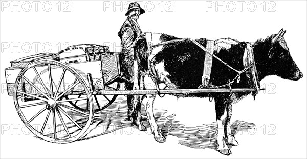 Carriage of Baggage in the Blue Ridge Mountains, USA, Illustration, Classical Portfolio of Primitive Carriers, by Marshall M. Kirman, World Railway Publ. Co., Illustration, 1895