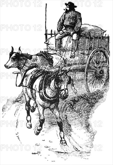 Horse and Ox Cart of Red River near Winnipeg, Canada, Illustration, Classical Portfolio of Primitive Carriers, by Marshall M. Kirman, World Railway Publ. Co., Illustration, 1895