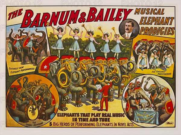 The Barnum & Bailey Musical Elephant Prodigies, Elephants that Play Real Music in Time and Tune, Circus Poster, Lithograph, 1909