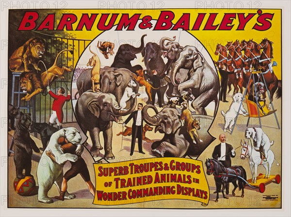 Barnum & Bailey's Superb Troupes & Groups of Trained Animals in Wonder Commanding Displays, Circus Poster, Lithograph, 1906