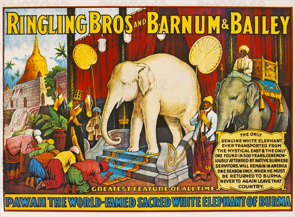 Ringling Bros and Barnum & Bailey, Pawah the World-Famed Sacred White Elephant of Burma, Circus Poster, Lithograph, 1927