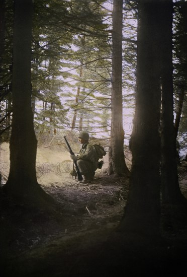 Infantryman Pausing in Advance Through Forest, Ardennes-Alsace Campaign, Battle of the Bulge, 1944