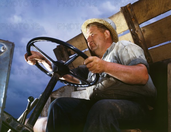 Truck Driver at TVA's Douglas Dam, French Broad River, Sevier County, Tennessee, USA, Alfred T. Palmer for Office of War Information, June 1942