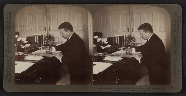 President Theodore Roosevelt Signing Bills, White House, Washington DC, USA, Stereo Card, Underwood & Underwood, 1903
