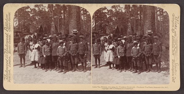 Little Tea Pickers who Sang for President Theodore Roosevelt, Pinehurst Tea Farm, Summerville, South Carolina, USA, Stereo Card, Underwood & Underwood, 1902