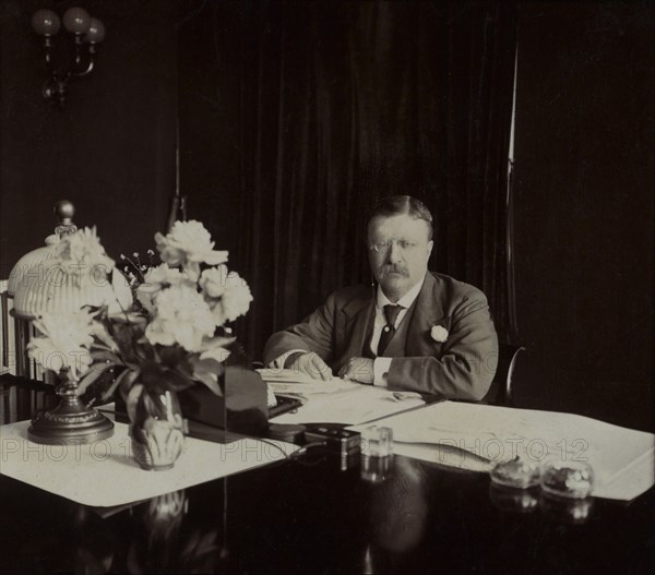 U.S. President Theodore Roosevelt, Seated Portrait at Desk, Washington DC, USA, by Fred H. White, 1907