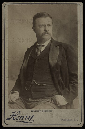 U.S. President Theodore Roosevelt, Seated Portrait by Henry, Washington DC, USA, early 1900's