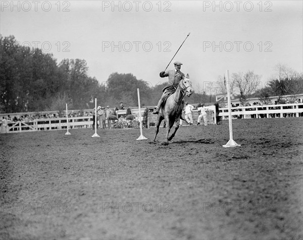 Horse Shows, Hugh Leagare, Washington DC, USA, Harris & Ewing, 1911