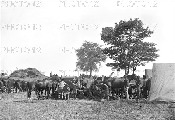 Blacksmith Shoeing Horses at Headquarters, Army of the Potomac, Battle of Antietam, Maryland, USA, Alexander Gardner, September 1862