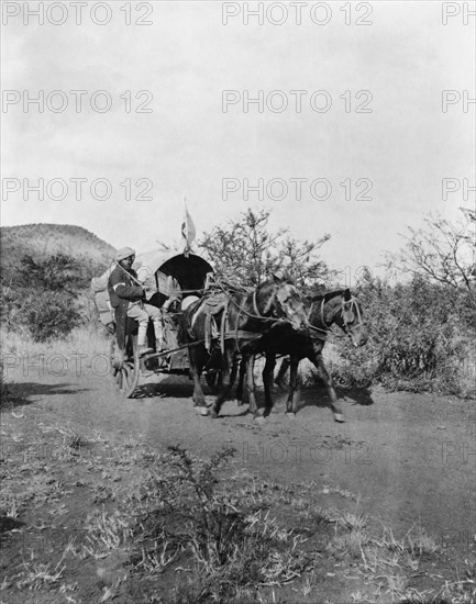 Hospital Cart used by British during Second Boer War, South Africa, 1900